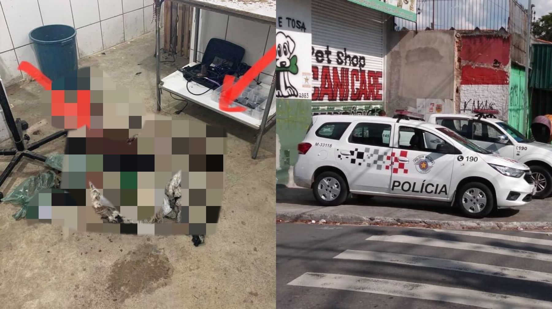 Crueldade: cachorro é encontrado morto em pet shop de Carapicuíba