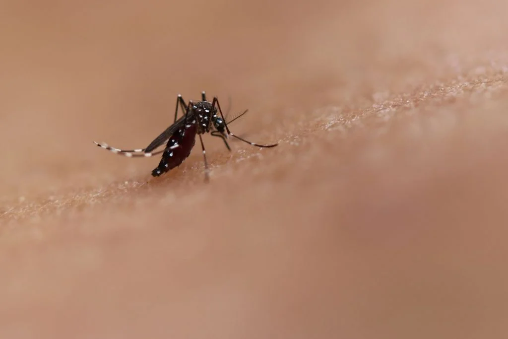 Estado mobiliza Barueri e outras cidades contra a dengue