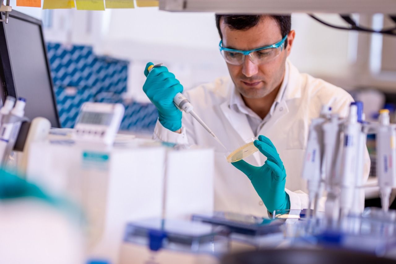Covid-19: AstraZeneca, que tem unidade em Cotia, vai produzir vacinas no Reino Unido
