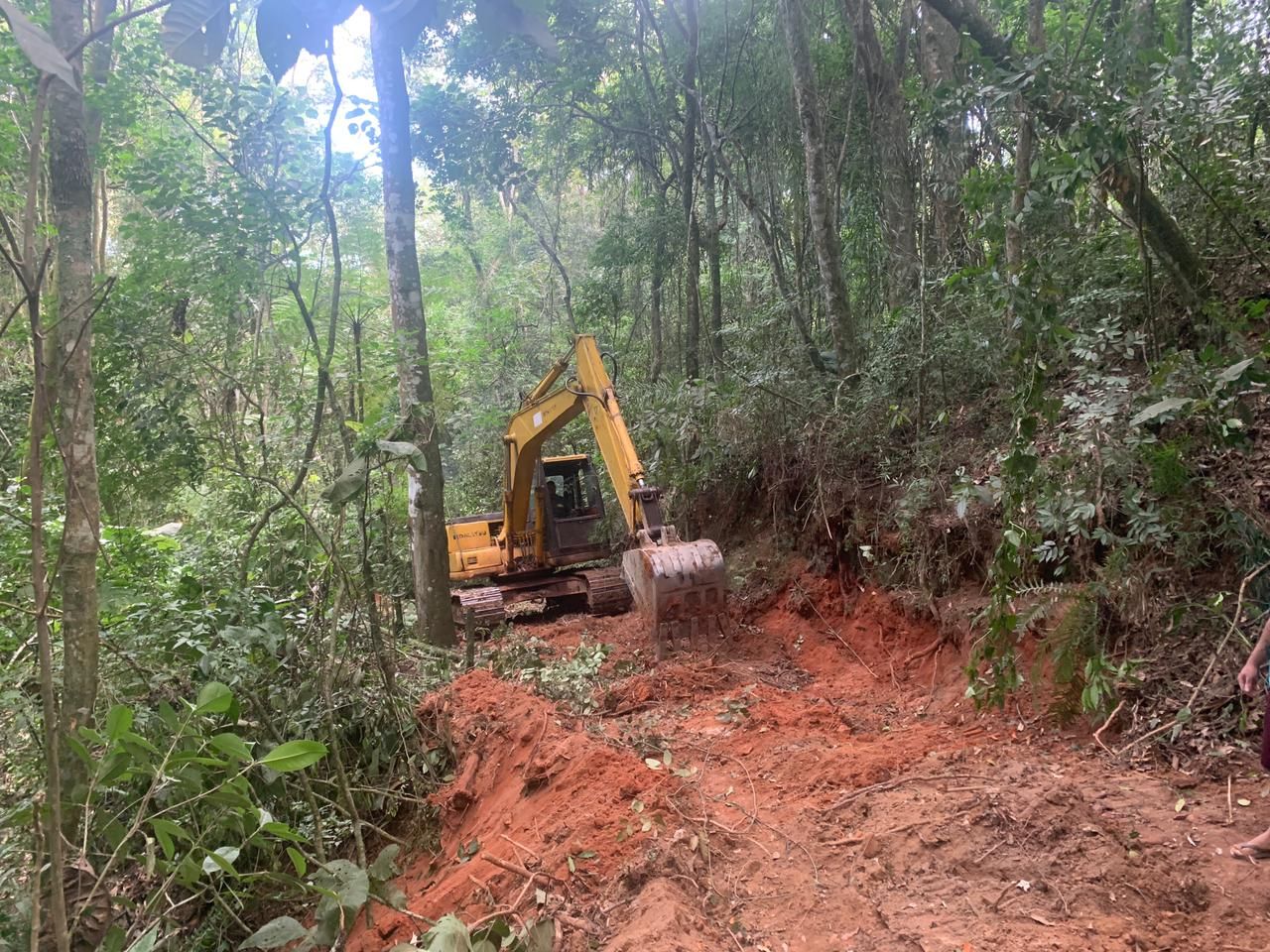 Desmatamento ilegal é descoberto em Itapevi
