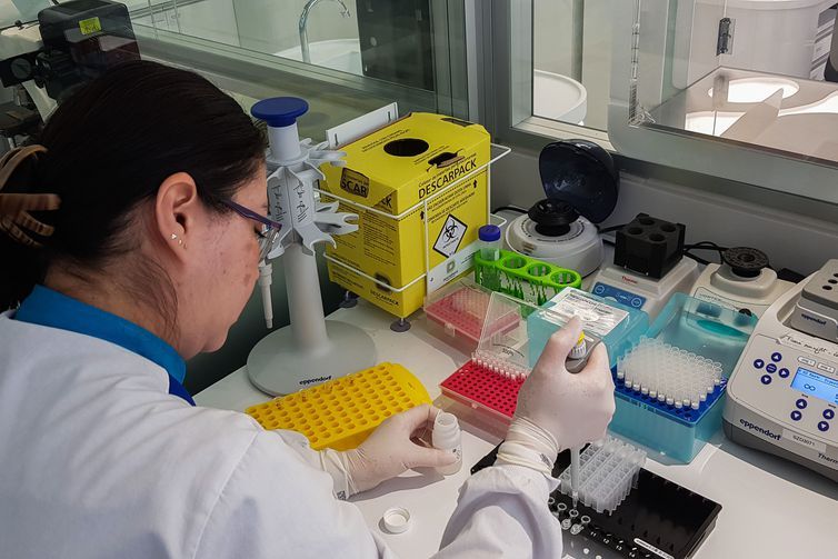 Projeto liderado por brasileira mapeará genoma de 15 mil pessoas