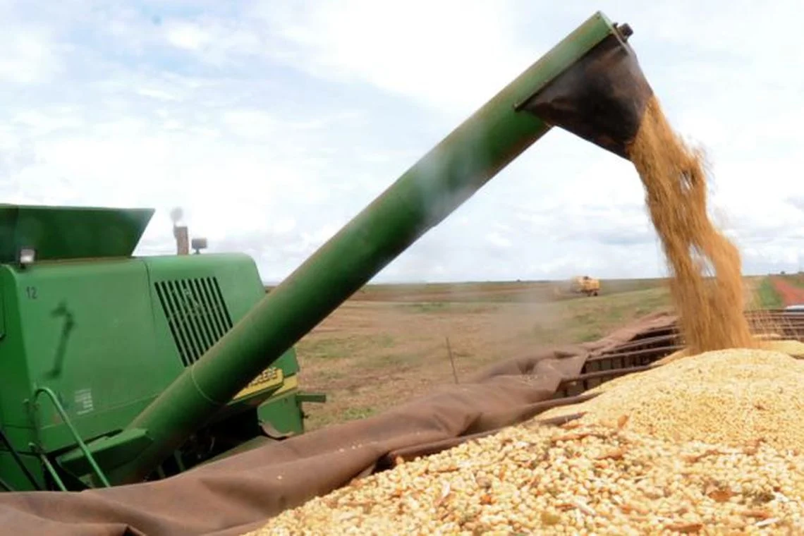 Produção de grãos em Cotia e Santana de Parnaíba ultrapassa 330 toneladas