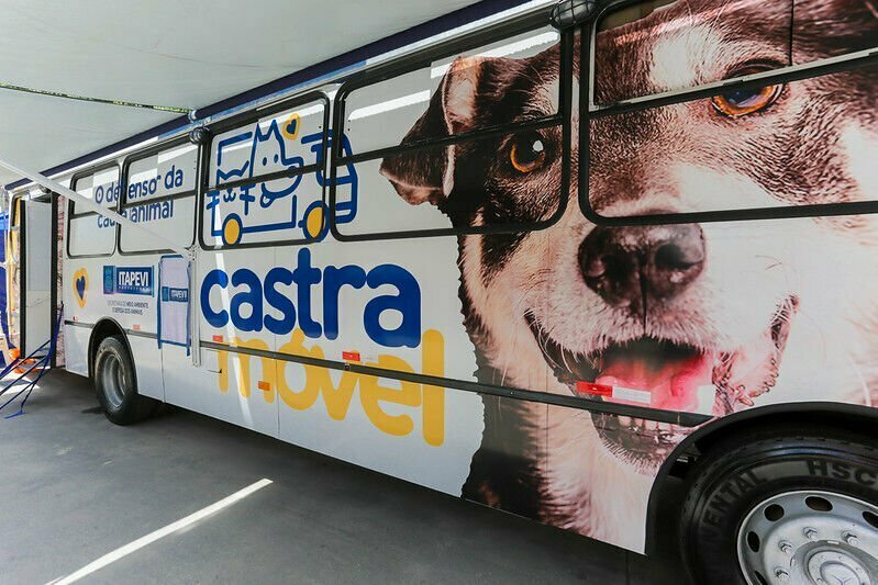 Itapevi anuncia 5.000 vagas para campanha de castração de cães e gatos