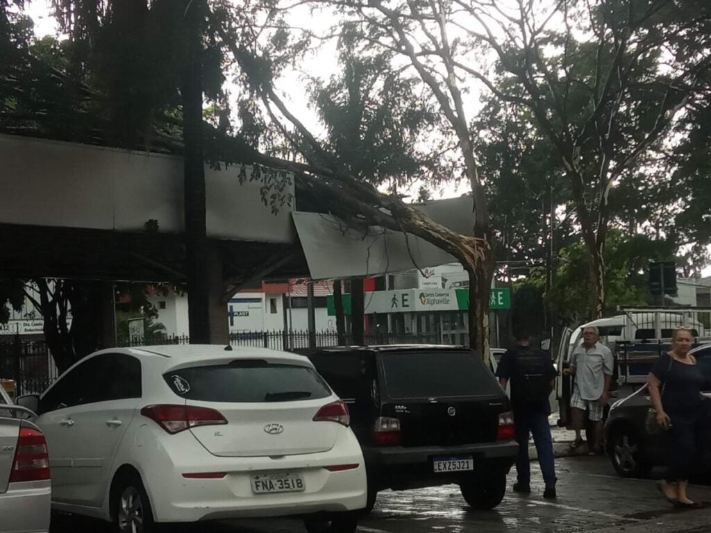 Chuvas: fortes rajadas de vento provocam caos em ruas e avenidas de Alphaville