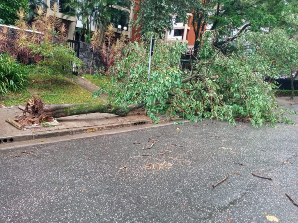 Chuvas: fortes rajadas de vento provocam caos em ruas e avenidas de Alphaville