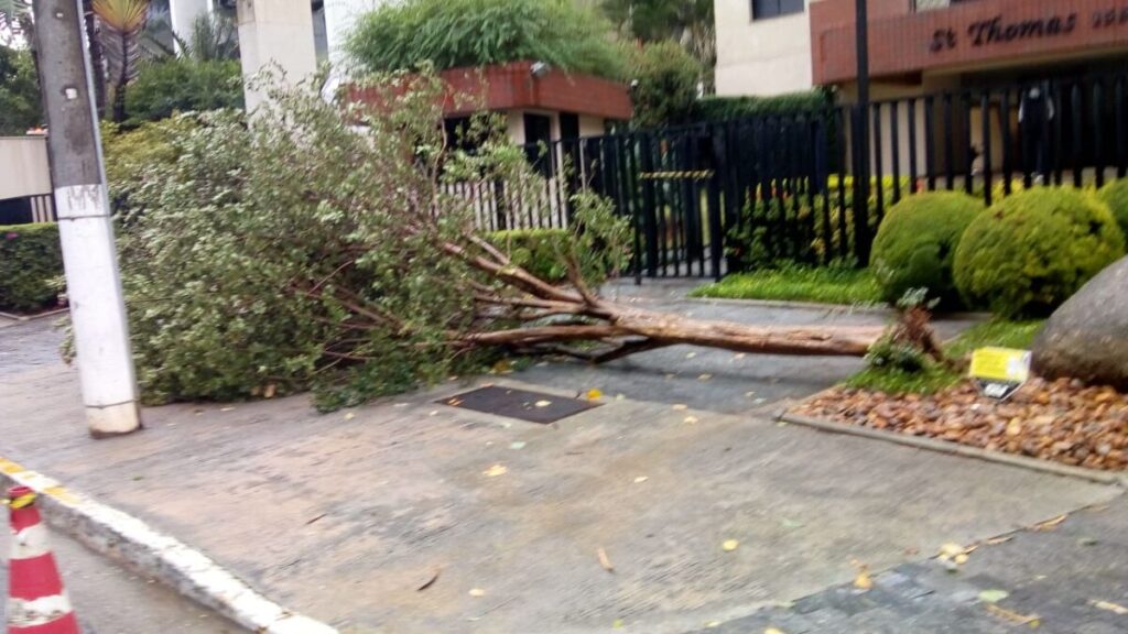 Chuvas: fortes rajadas de vento provocam caos em ruas e avenidas de Alphaville