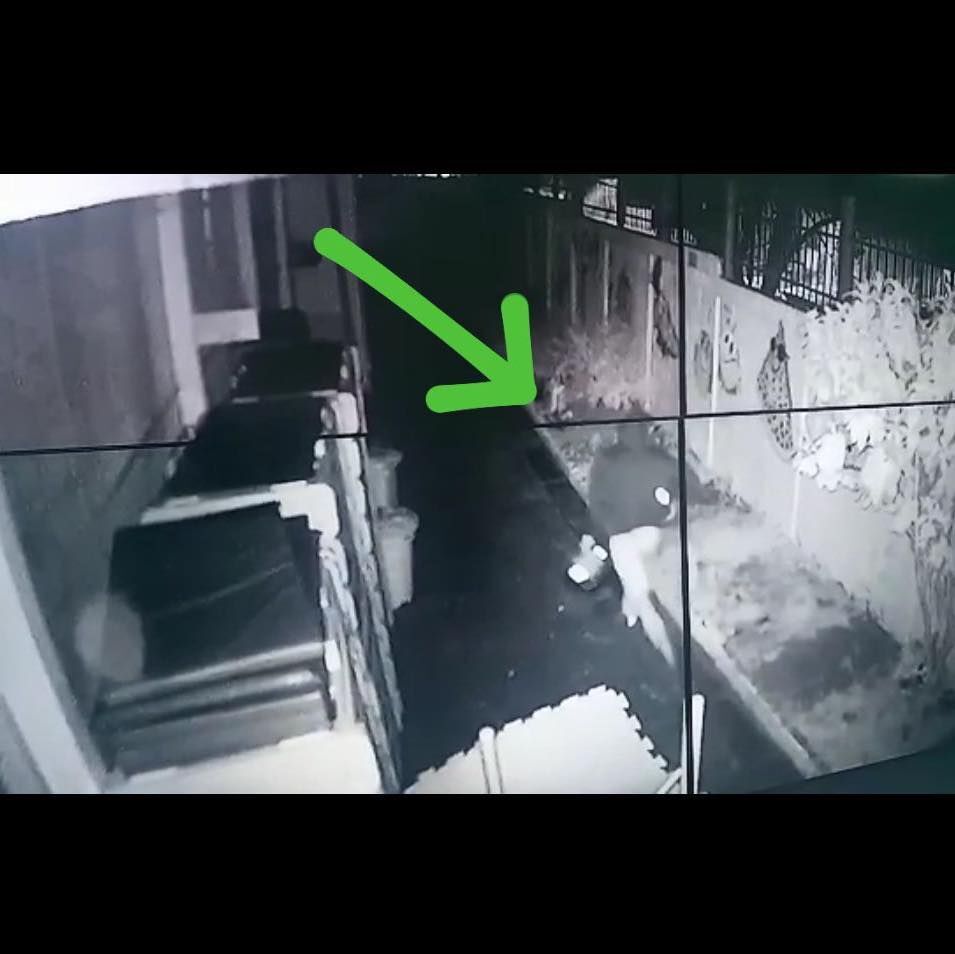 Homem tenta invadir escola em Osasco e acaba preso por agentes da GCM