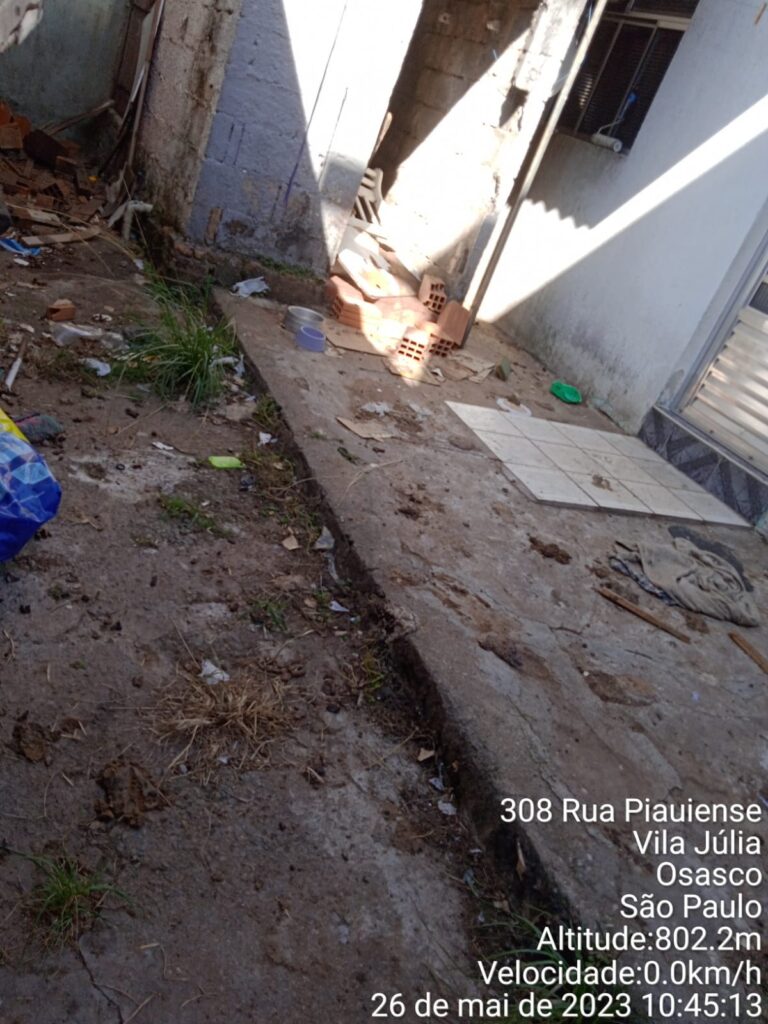 Polícia Civil de Osasco resgata seis cães abandonados, vítimas de maus-tratos