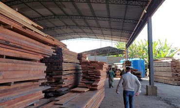 Ibama multa responsável técnico de empresa madeireira de Barueri por irregularidades