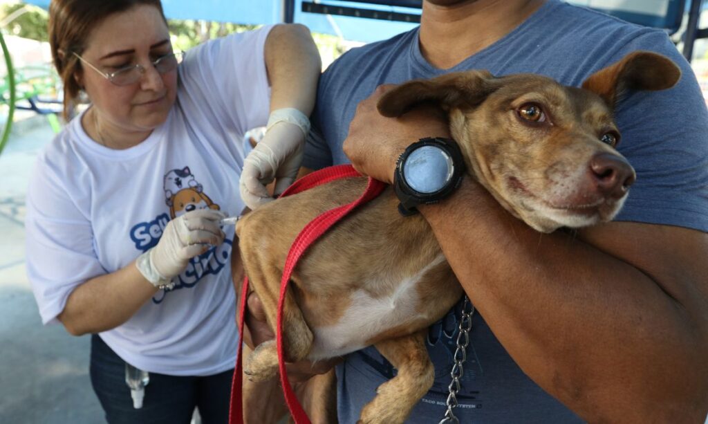 Barueri amplia horário de funcionamento do posto fixo de vacinação antirrábica para cães e gatos