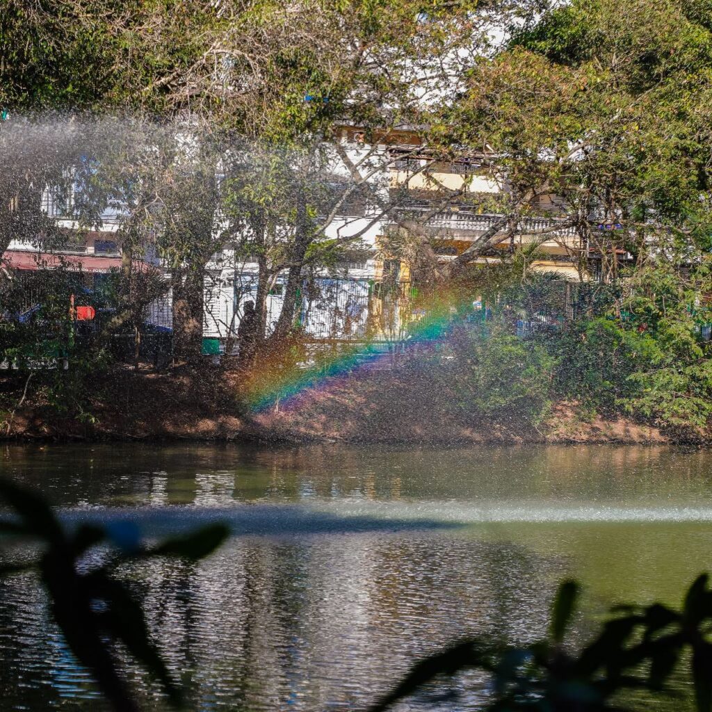 Osasco: tudo sobre o feriado de Finados 2023 na cidade