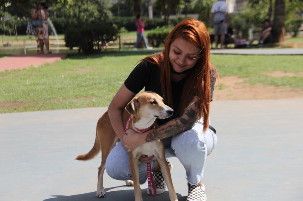 Barueri terá feira para adoção de animais de estimação