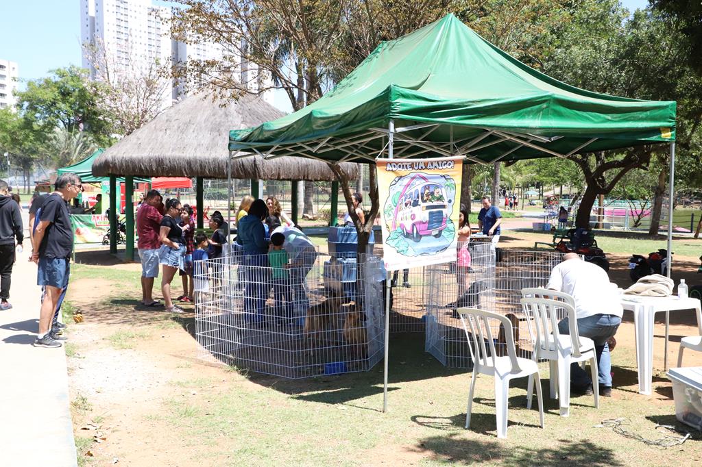 Barueri terá feira para adoção de animais de estimação