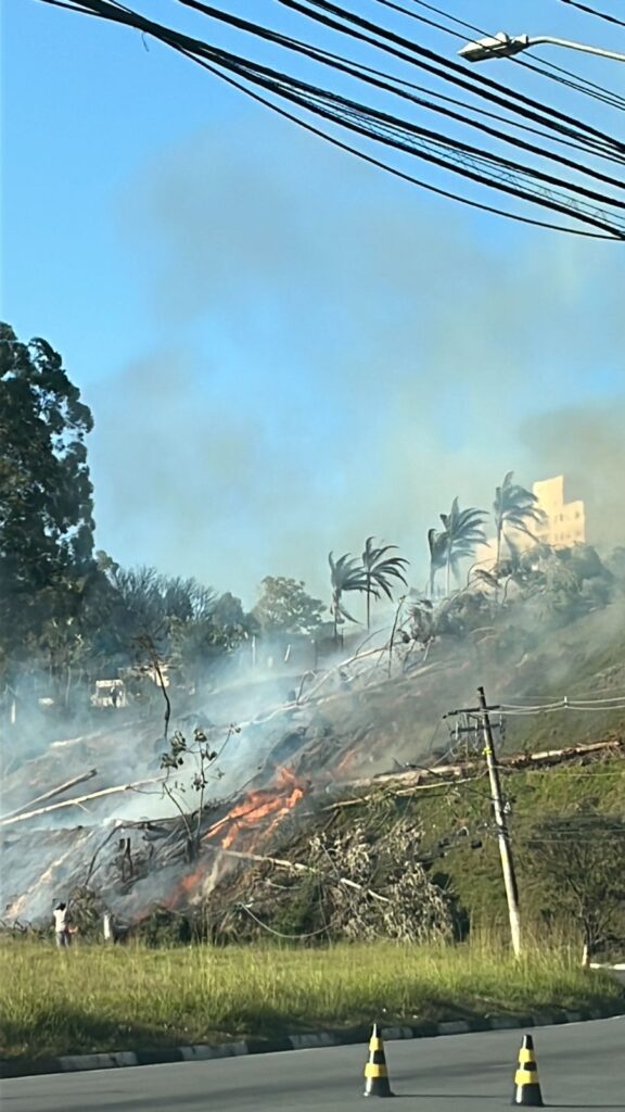Santana de Parnaíba: corte de árvores causa incêndio na região do Tamboré 6