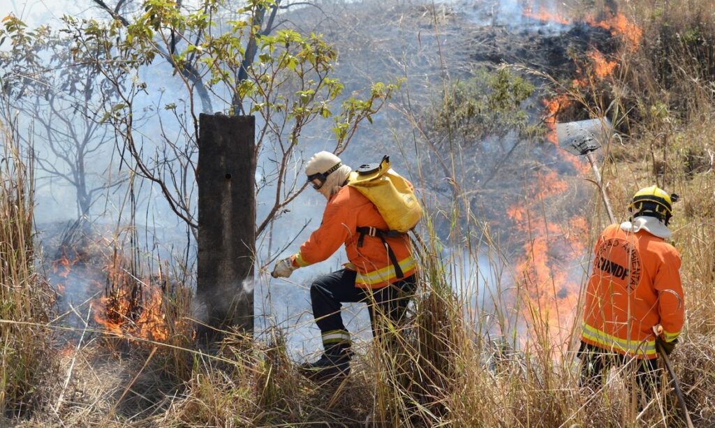 Defesa Civil acende alerta para risco de incêndios no estado
