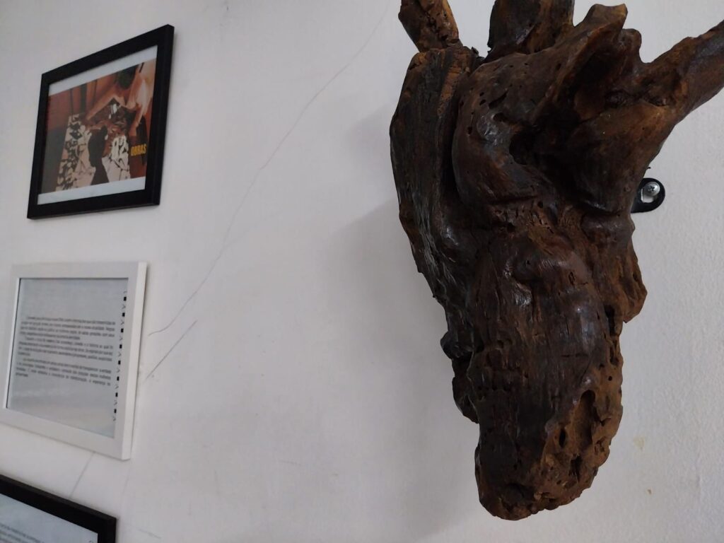 Cotia recebe "Negras que Nos Habitam" da artista Joyce Fesan