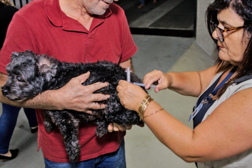 Em Cotia, Zoonoses realiza vacinação antirrábica de cães e gatos