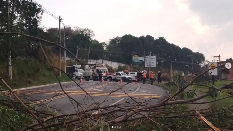 Forte chuva causa queda de árvore entre Barueri e Jandira