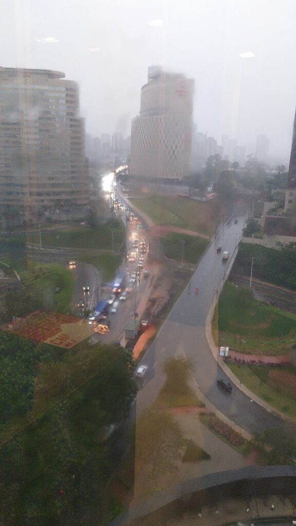 Chuva forte derruba árvores em Barueri e Santana de Parnaíba