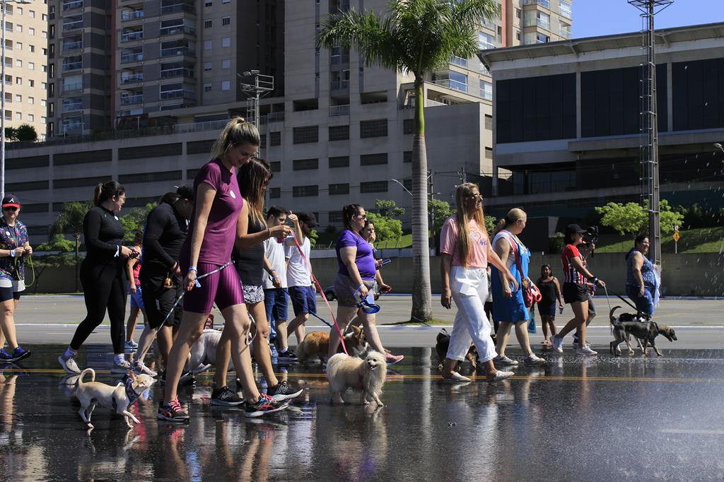 Barueri: Cãominhada agita Parque Dom José neste sábado (9)