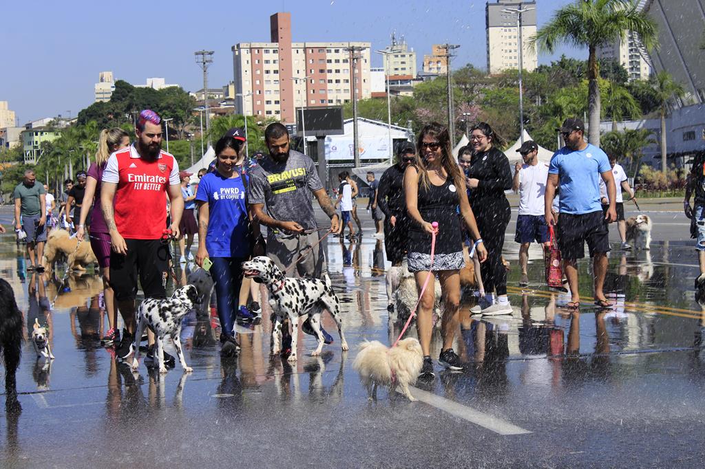 Barueri: Cãominhada agita Parque Dom José neste sábado (9)