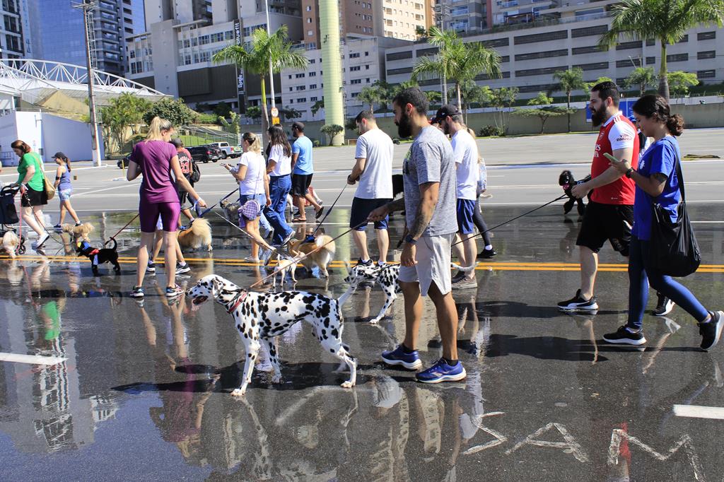 Barueri: Cãominhada agita Parque Dom José neste sábado (9)