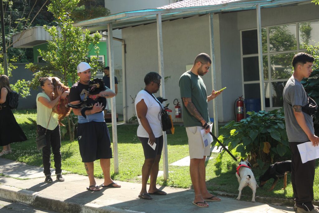 Barueri abre 250 vagas para castração de cães e gatos