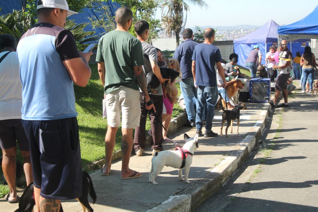 Barueri abre 250 vagas para castração de cães e gatos