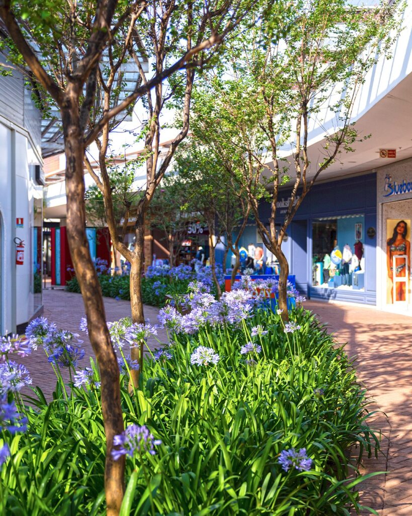 São Roque: Catarina Fashion Outlet oferece transfer gratuito