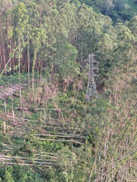 Após queda de torre, 14,7 mil seguem sem energia em Cajamar