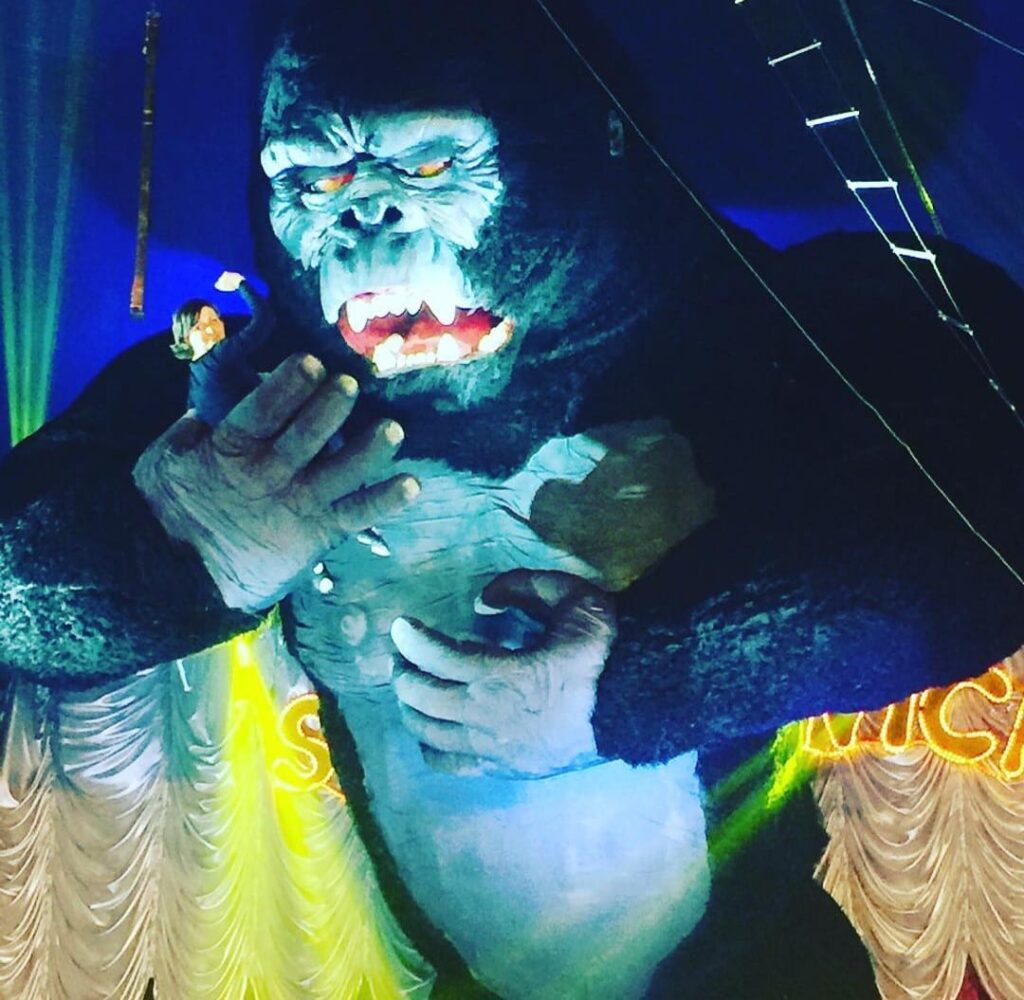 Circo Stankowich Gold, um mais antigos do Brasil, chega a Barueri