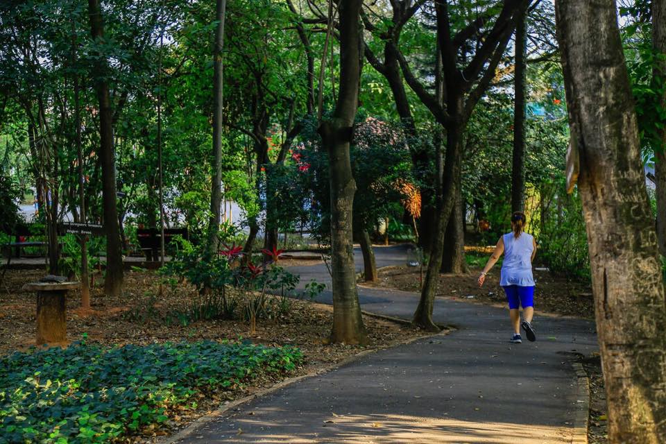 Lazer em Osasco: parque reúne carpas e família de macacos