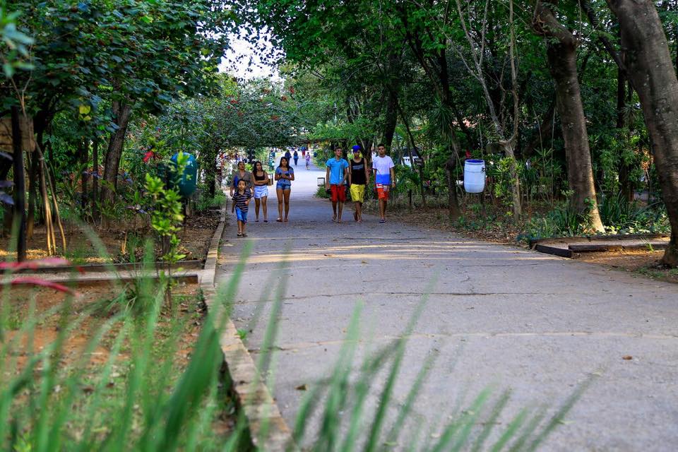 Lazer em Osasco: parque reúne carpas e família de macacos
