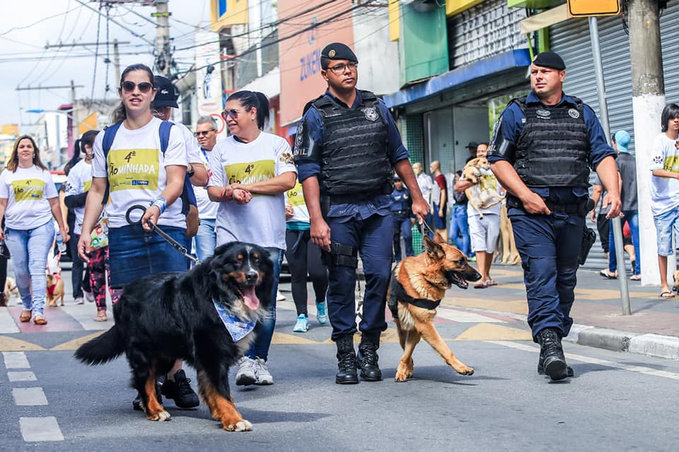 Diversão e passeio: Itapevi tem Cãominhada no domingo (24)