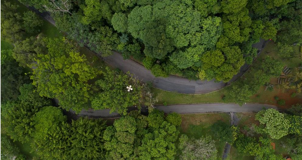 Barueri é uma das cidades das mais arborizadas do mundo, diz ONU