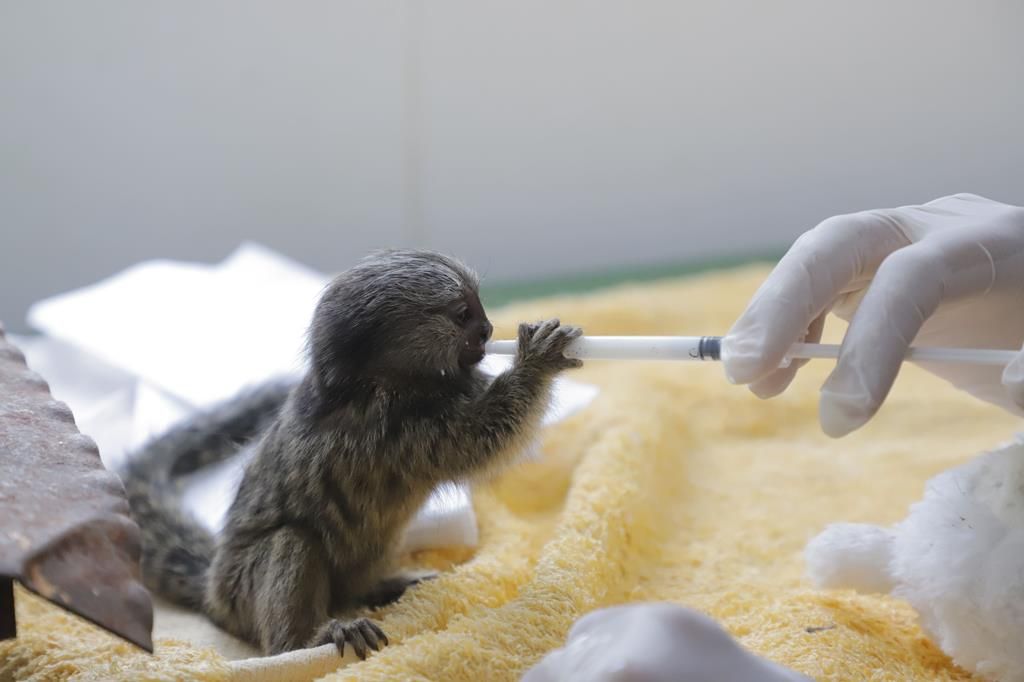 Com conclusão para setembro, Cetas Barueri inicia reformas