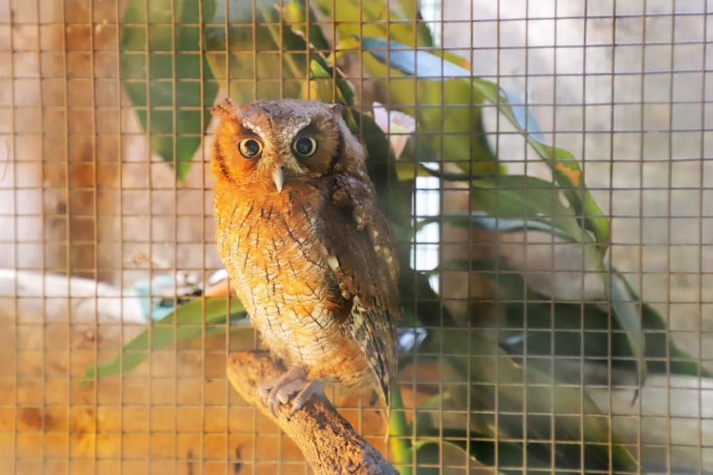 Com conclusão para setembro, Cetas Barueri inicia reformas