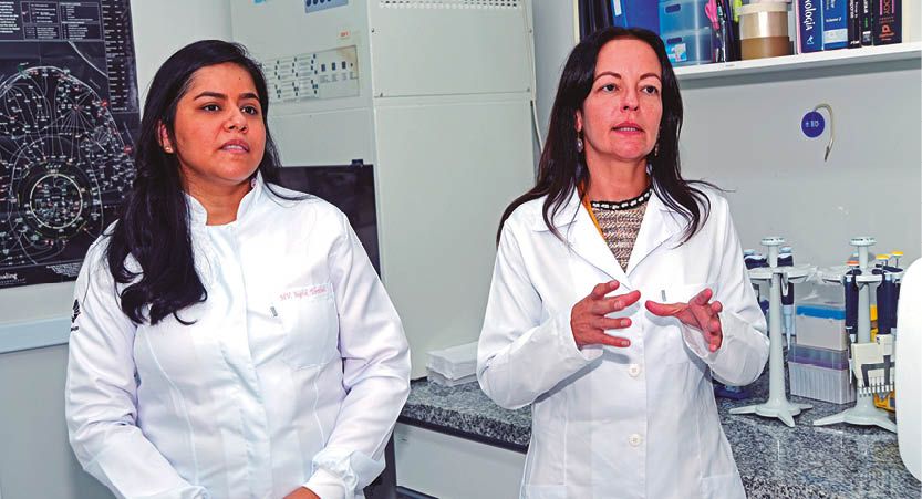Câncer de mama: veneno de aranha-armadeira apresenta bons resultados em tratamento