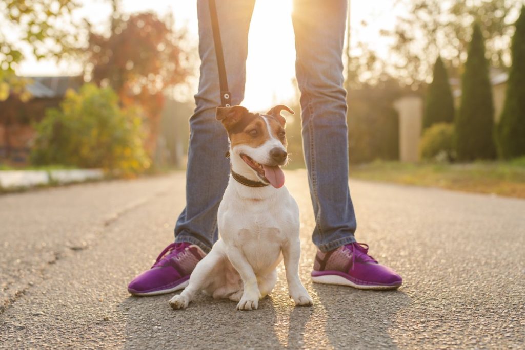 circuito power move osasco 