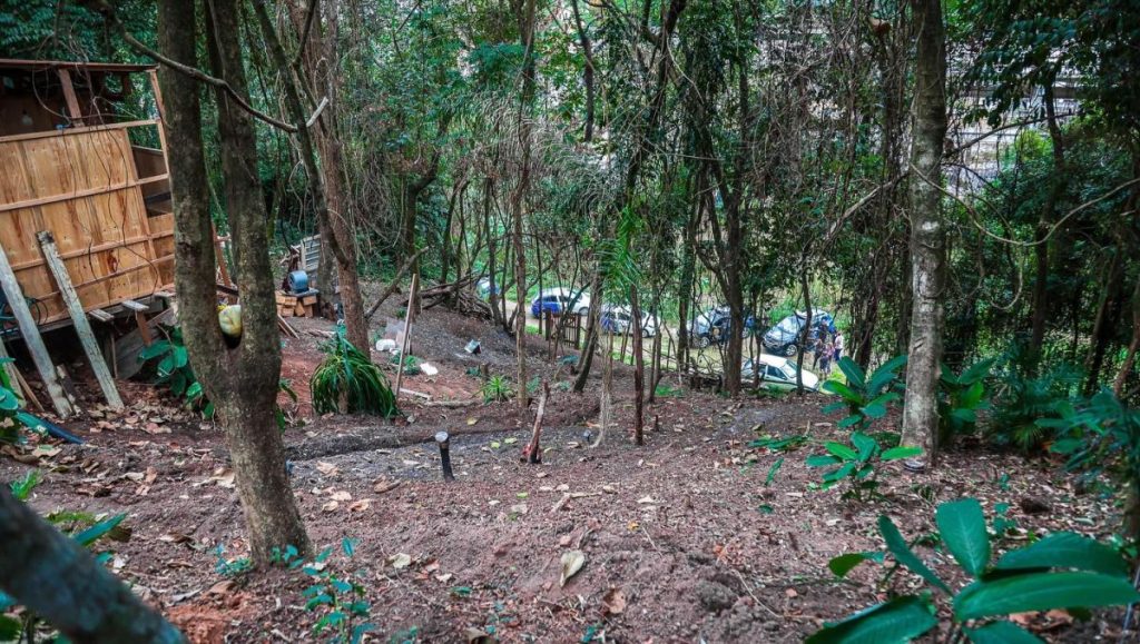 Itapevi: idosos são flagrados desmatando terreno invadido