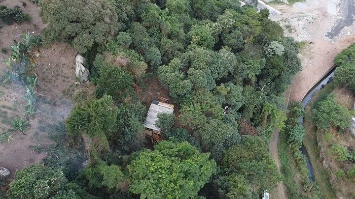 Itapevi: idosos são flagrados desmatando terreno invadido