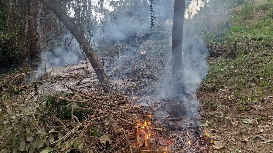 Itapevi: idosos são flagrados desmatando terreno invadido