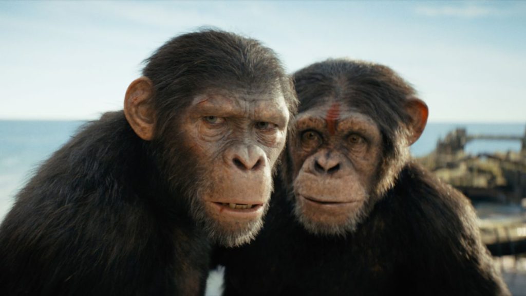 Planeta dos Macacos