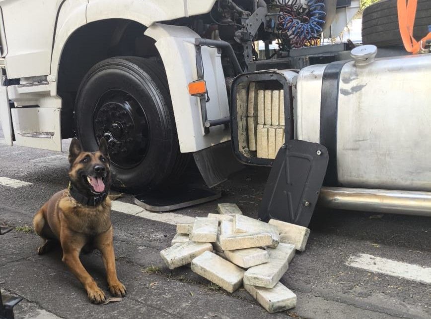 5ºBaep e Polícia Federal apreendem 50kg de droga em Itapecerica da Serra