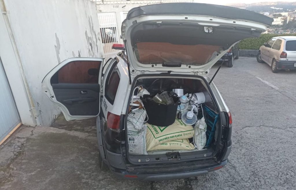 Cotia: Polícia Civil flagra duas estufas usadas para plantio de maconha