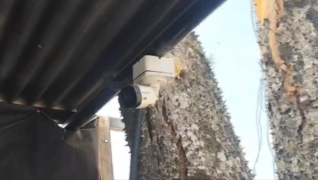 Crime em Barueri: Casal é morto a facadas após sair de bar