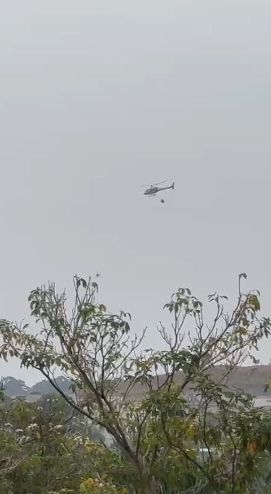 Alphaville e Tamboré registram incêndios em área de mata