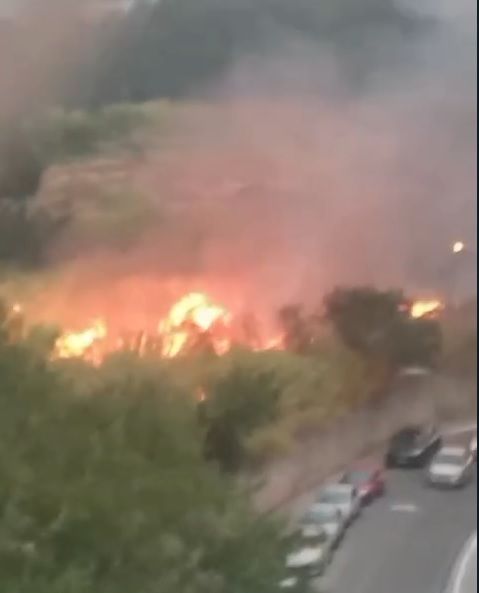 Barueri: incêndio atinge área de mata no Jardim Belval