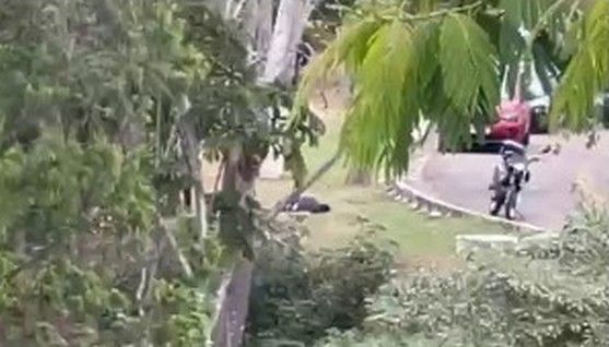 Vargem Grande: Ladrões invadem condomínio e roubam residências