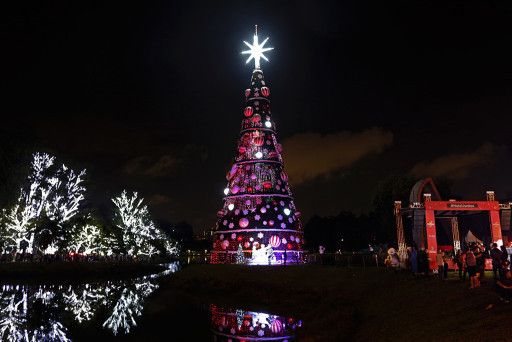 Árvore de Natal do Parque Ibirapuera é inaugurada no sábado (30)